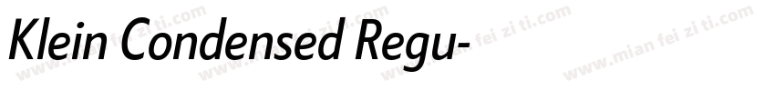 Klein Condensed Regu字体转换